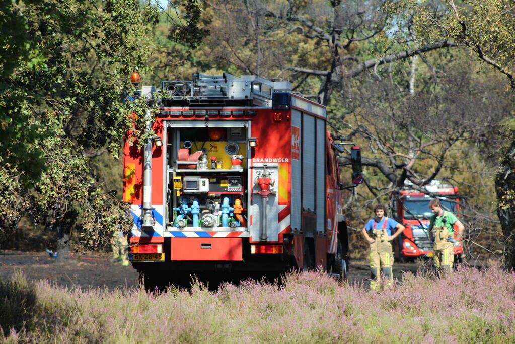 Natuurbrand snel onder controle
