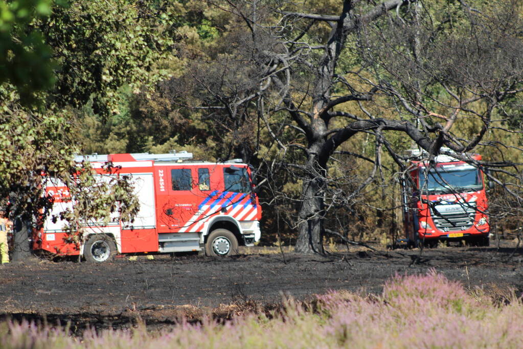Natuurbrand snel onder controle