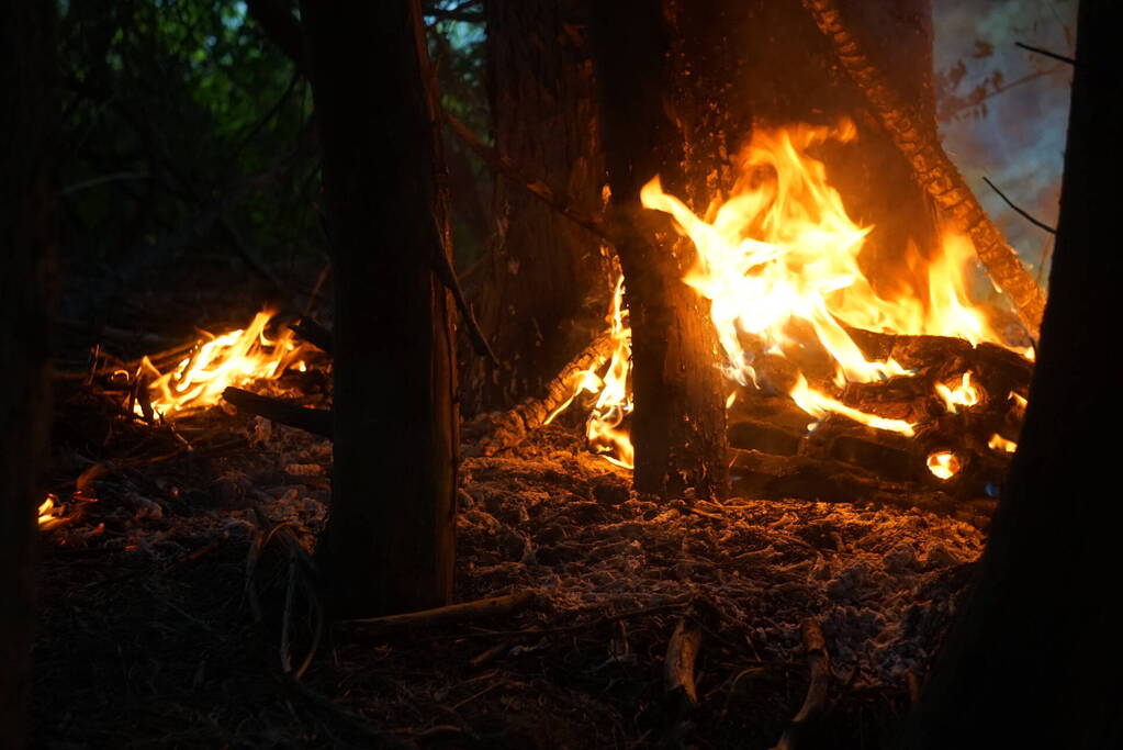 Flinke rookpluimen bij brand in bosgebied