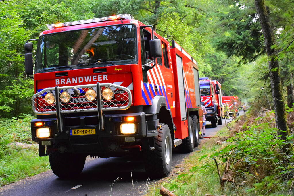 100 vierkante meter natuur verwoest vanwege brand