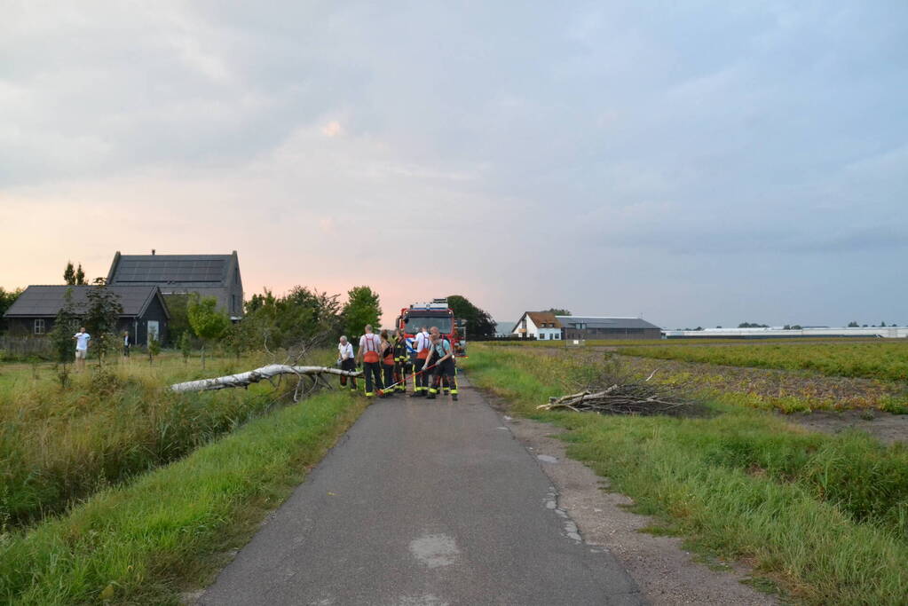 Brandweer ingezet bij omgevallen boom