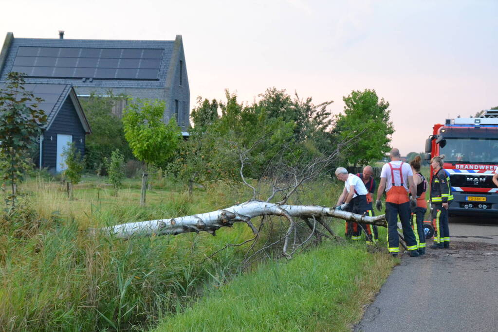 Brandweer ingezet bij omgevallen boom