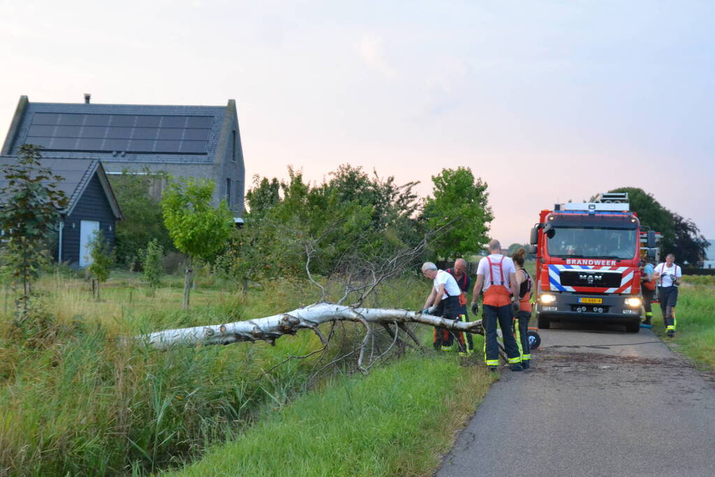 Brandweer ingezet bij omgevallen boom
