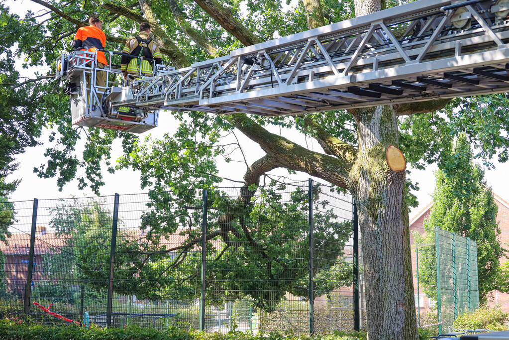 Enorme loshangende tak door brandweer verwijderd