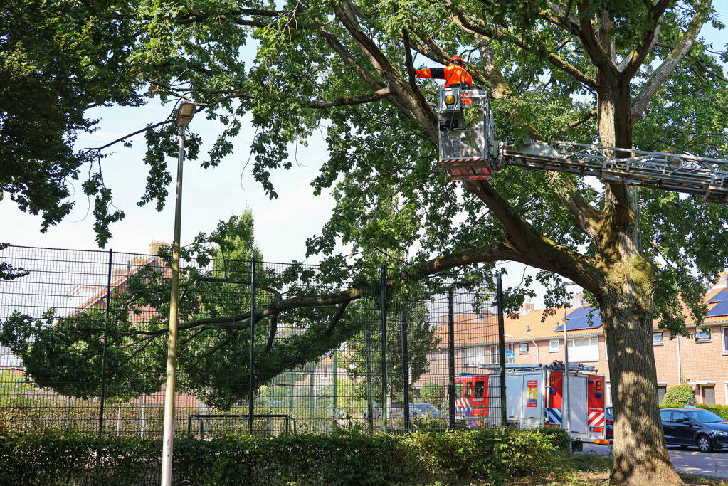 Enorme loshangende tak door brandweer verwijderd