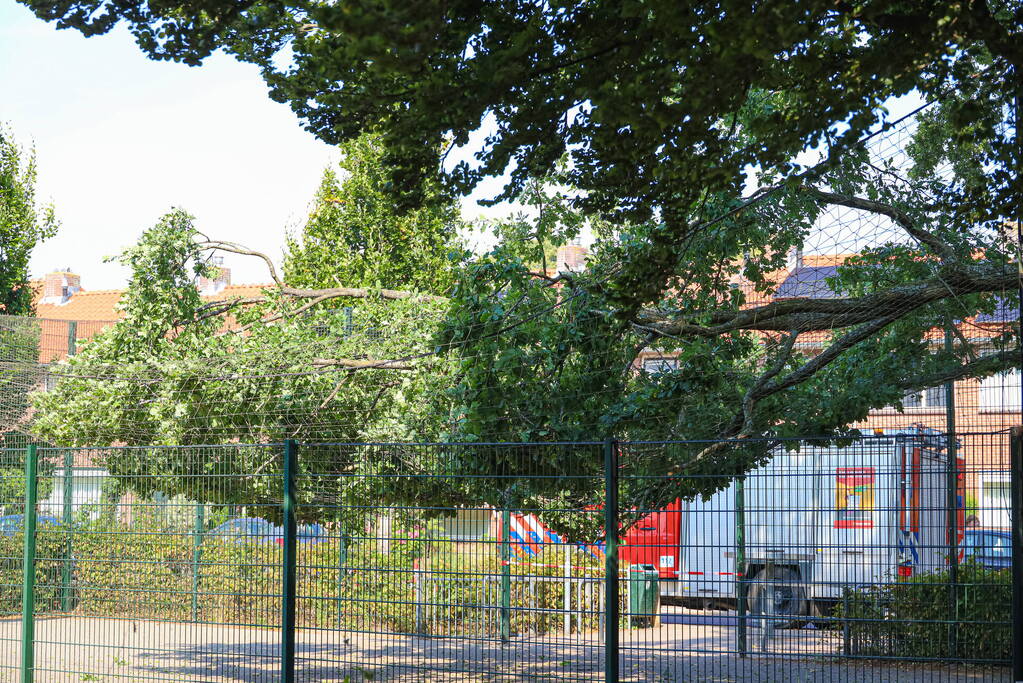 Enorme loshangende tak door brandweer verwijderd