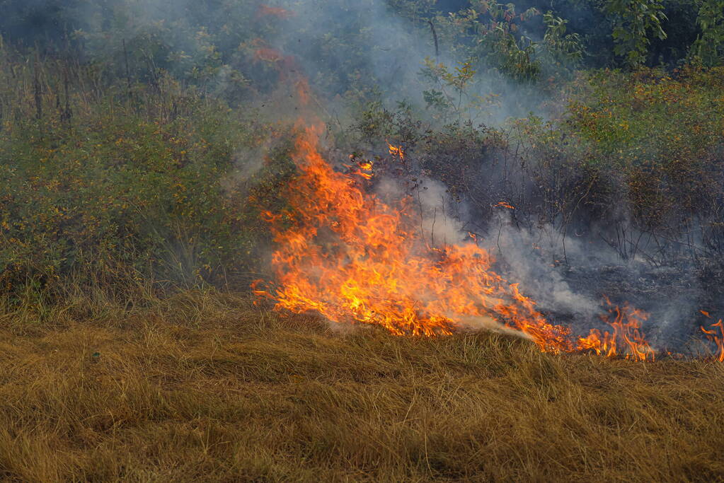 Flink stuk natuur vanwege brand verwoest
