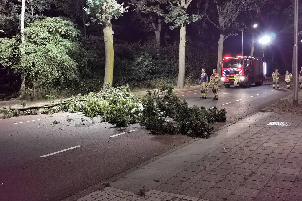 Brandweer verwijdert gevaarlijk hangende tak