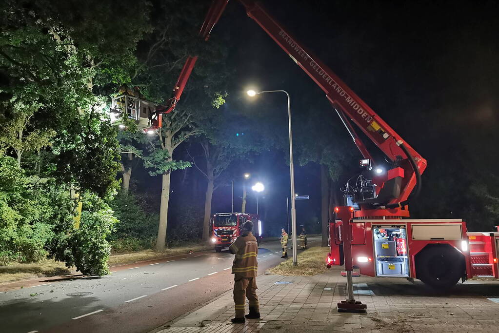 Brandweer verwijdert gevaarlijk hangende tak