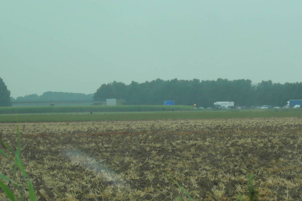 Verkeer stilgezet op A58 vanwege incident op viaduct