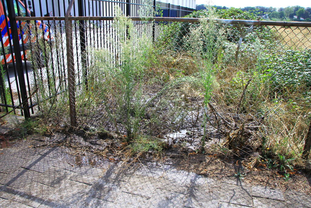 Beginnende bermbrand snel onder controle