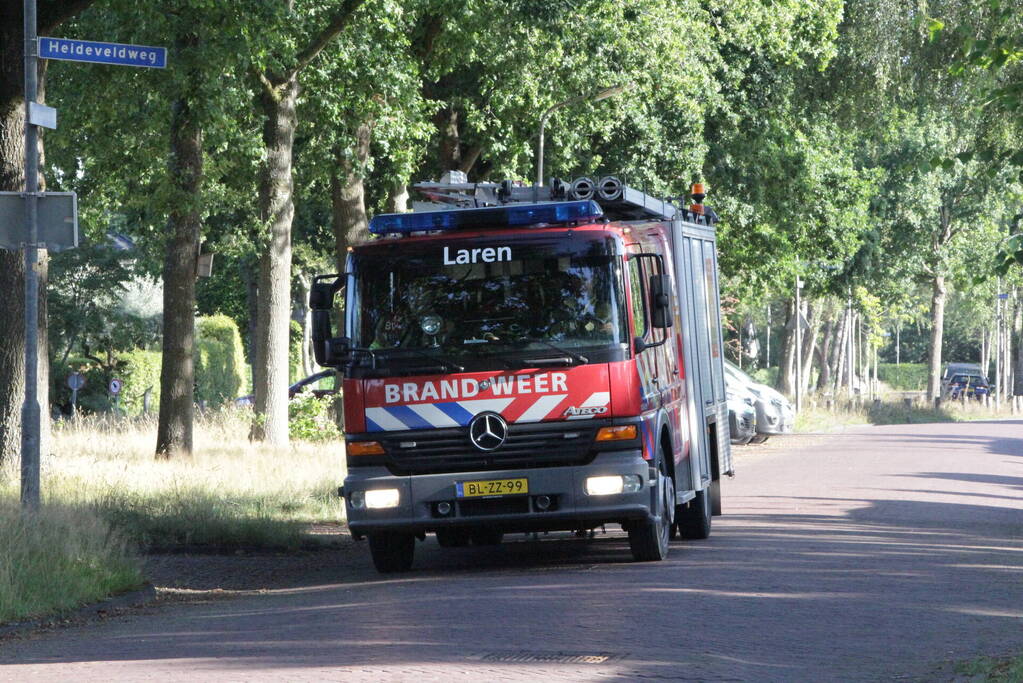 Forse takken uit boom gewaaid