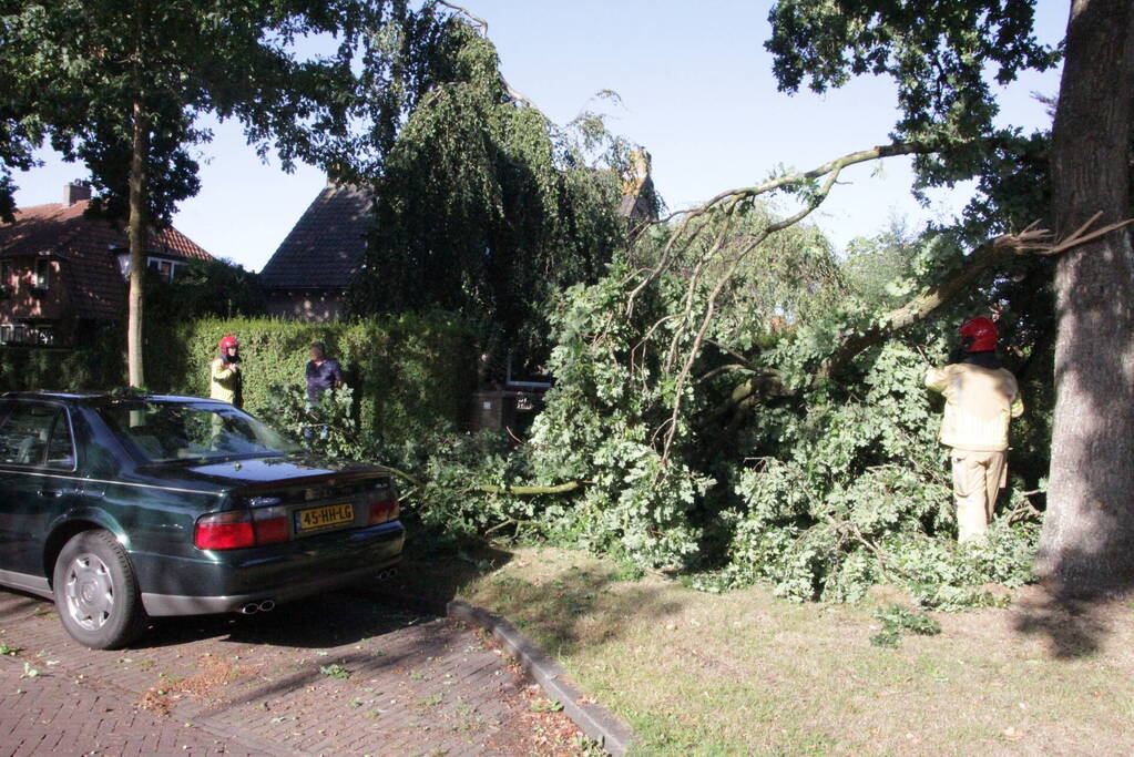 Forse takken uit boom gewaaid