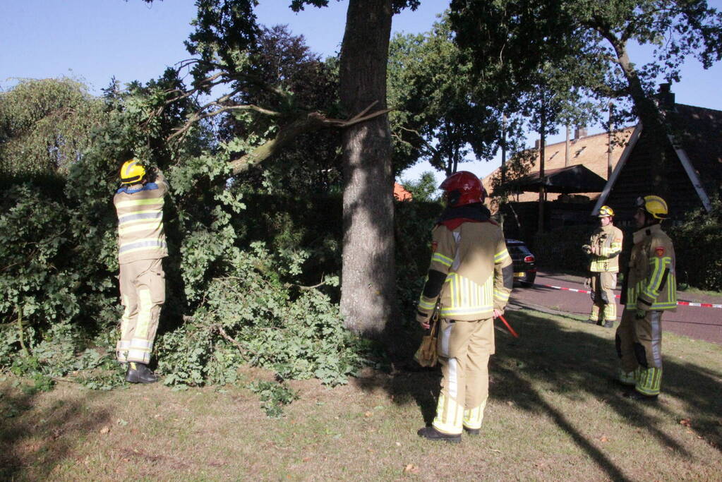 Forse takken uit boom gewaaid