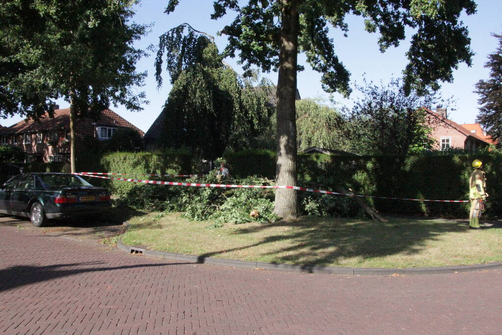 Forse takken uit boom gewaaid