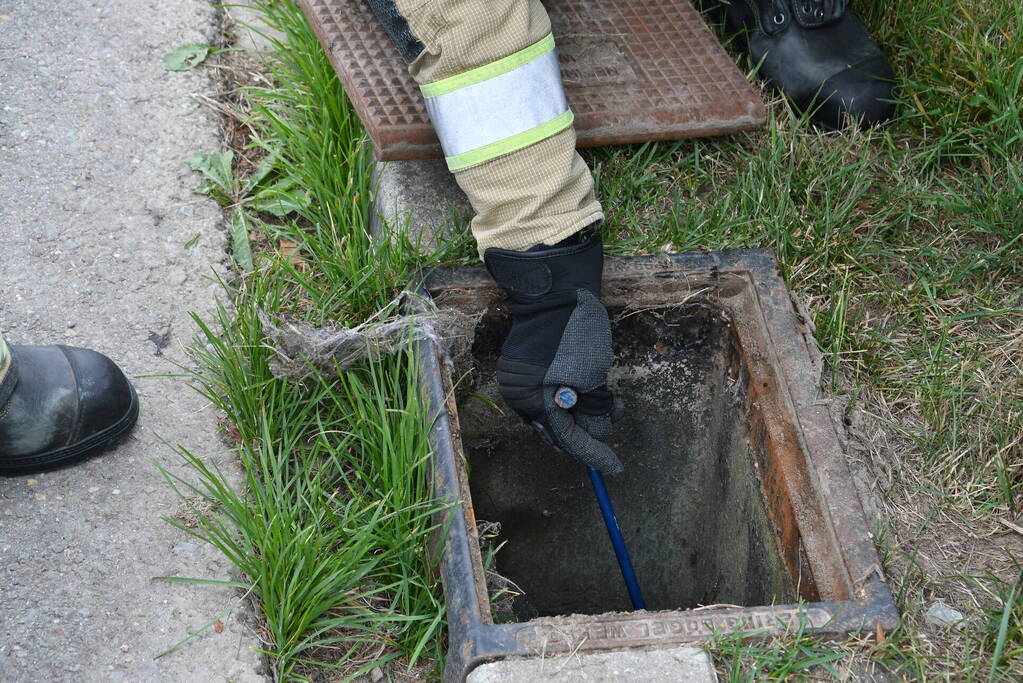 Jonge bunzings opgejaagd door hond