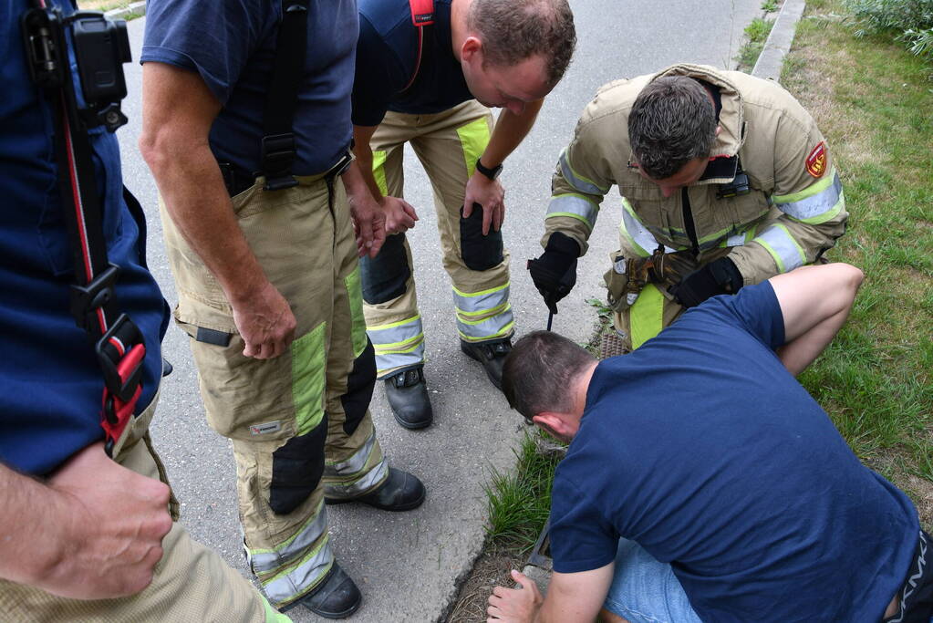Jonge bunzings opgejaagd door hond