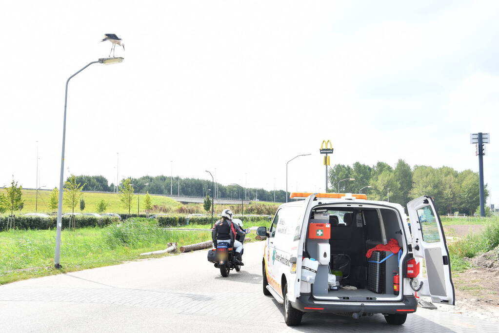 Gewonde ooievaar laat zich niet vangen