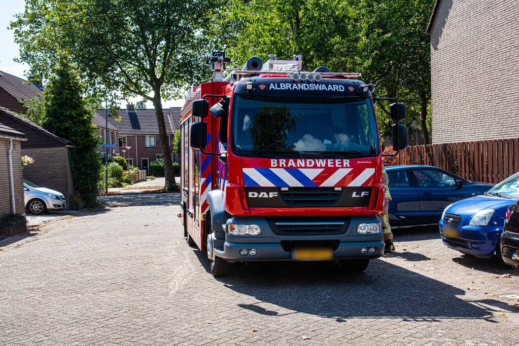 Kat springt van dak bij reddingsactie