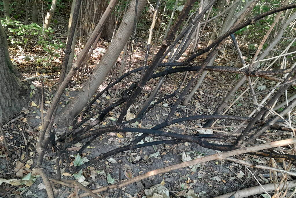 Brandweer blust brandende struiken