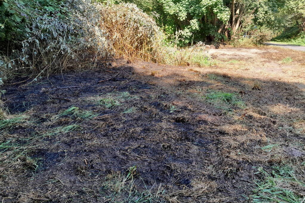 Brandweer blust brandende struiken