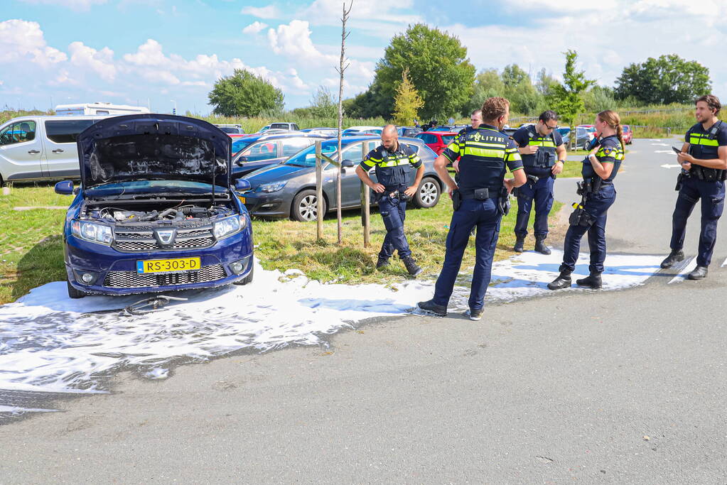 Gestolen auto vliegt in brand