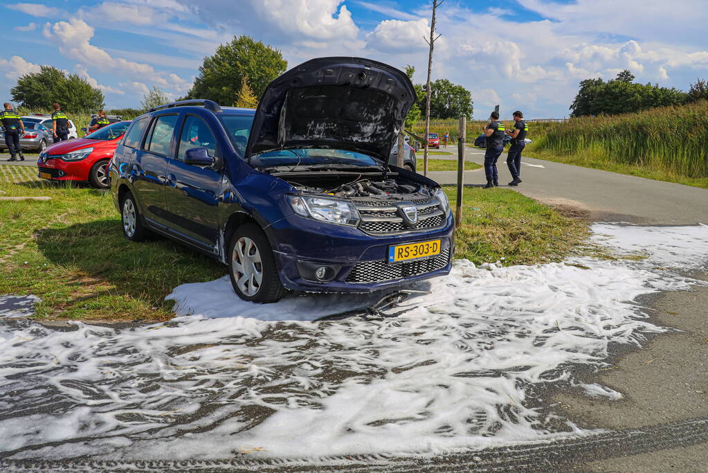 Gestolen auto vliegt in brand