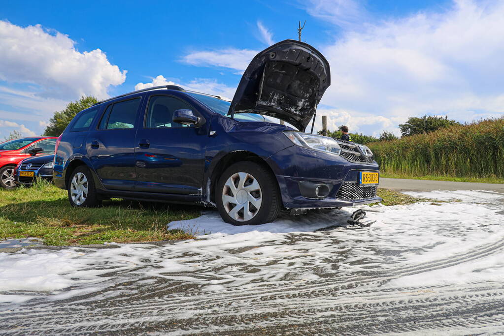 Gestolen auto vliegt in brand