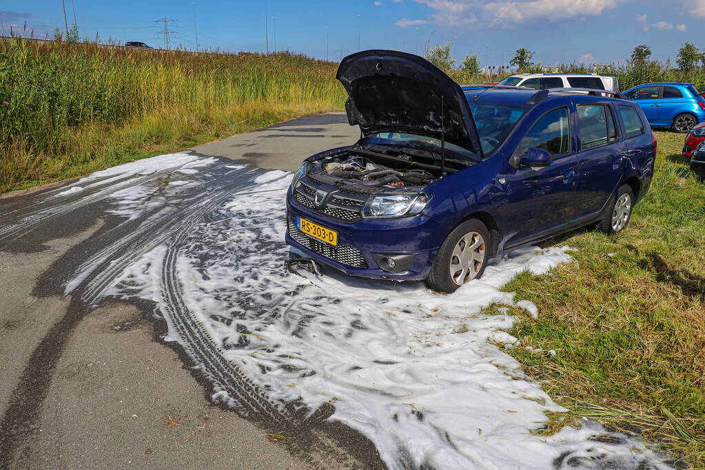 Gestolen auto vliegt in brand