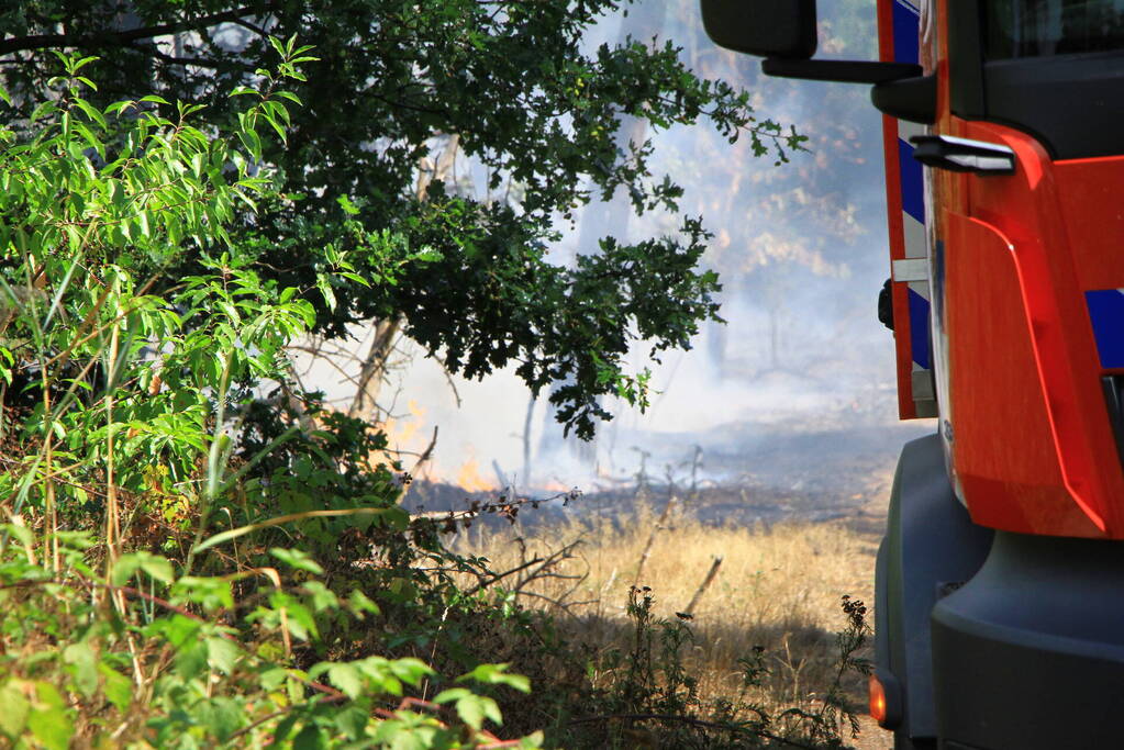 Flinke brand in bosgebied