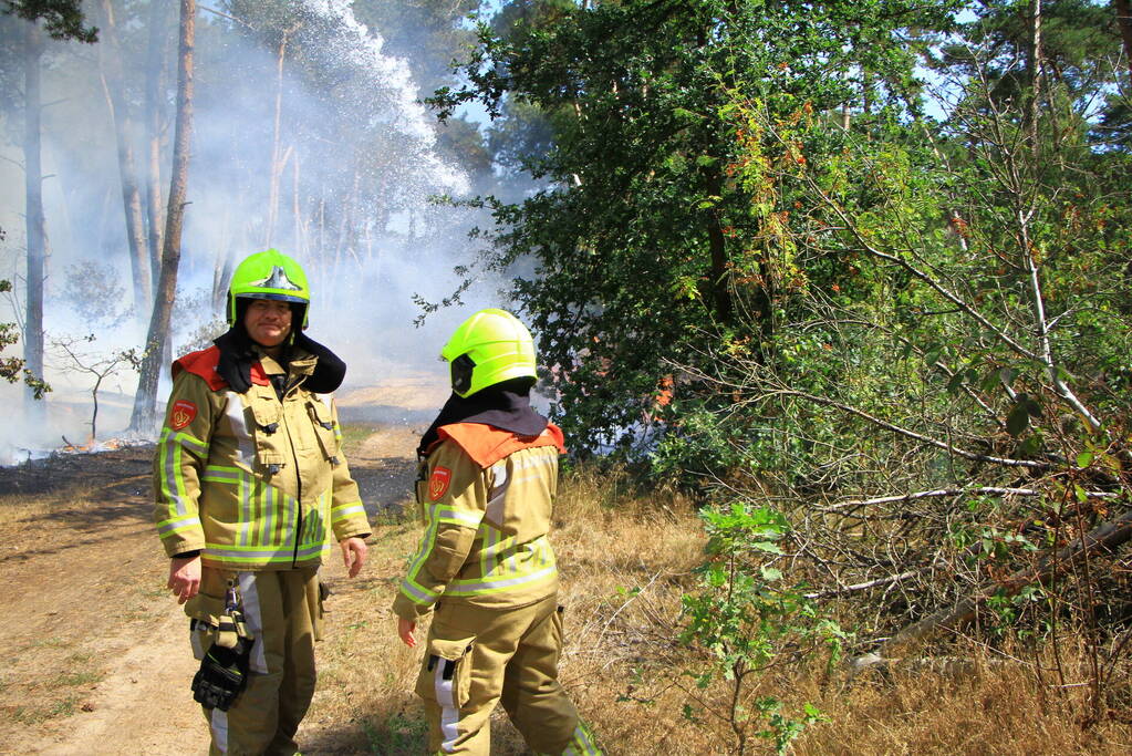 Flinke brand in bosgebied