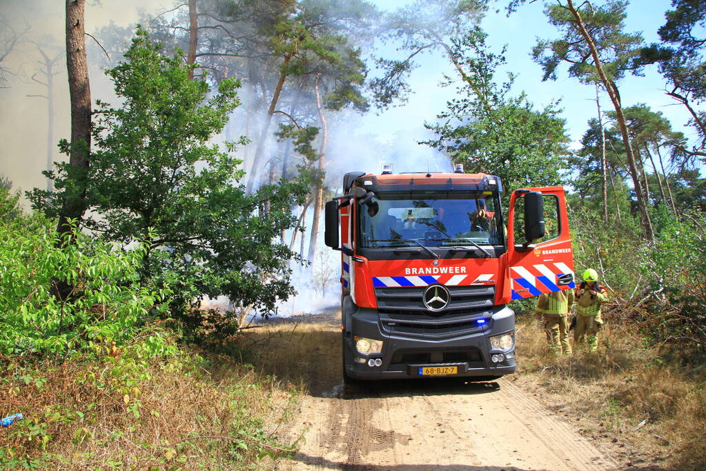 Flinke brand in bosgebied