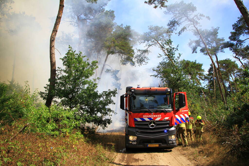 Flinke brand in bosgebied