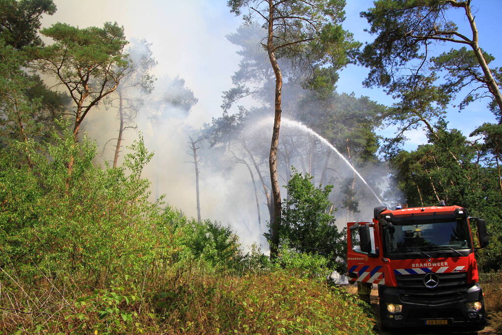 Flinke brand in bosgebied