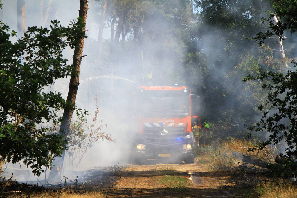 Flinke brand in bosgebied