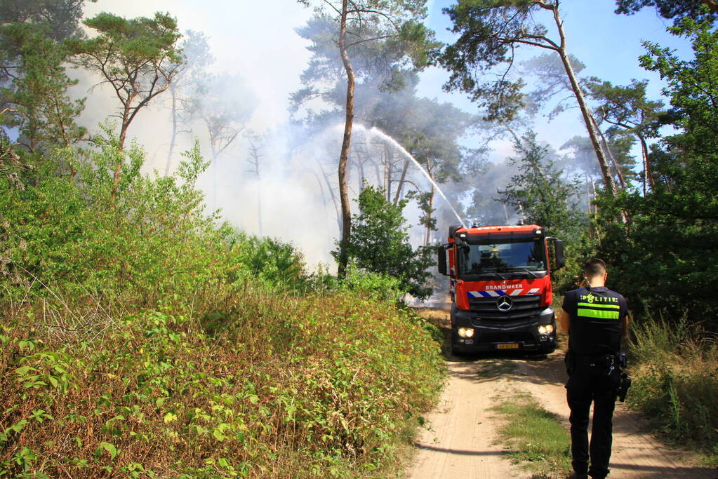 Flinke brand in bosgebied