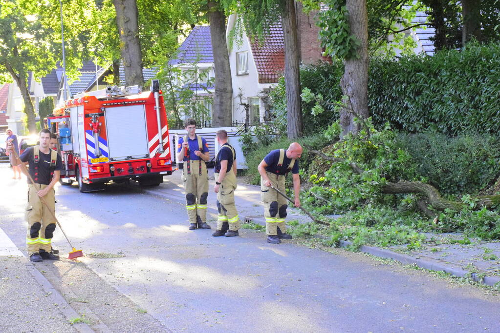 Grote tak breekt af en valt op weg
