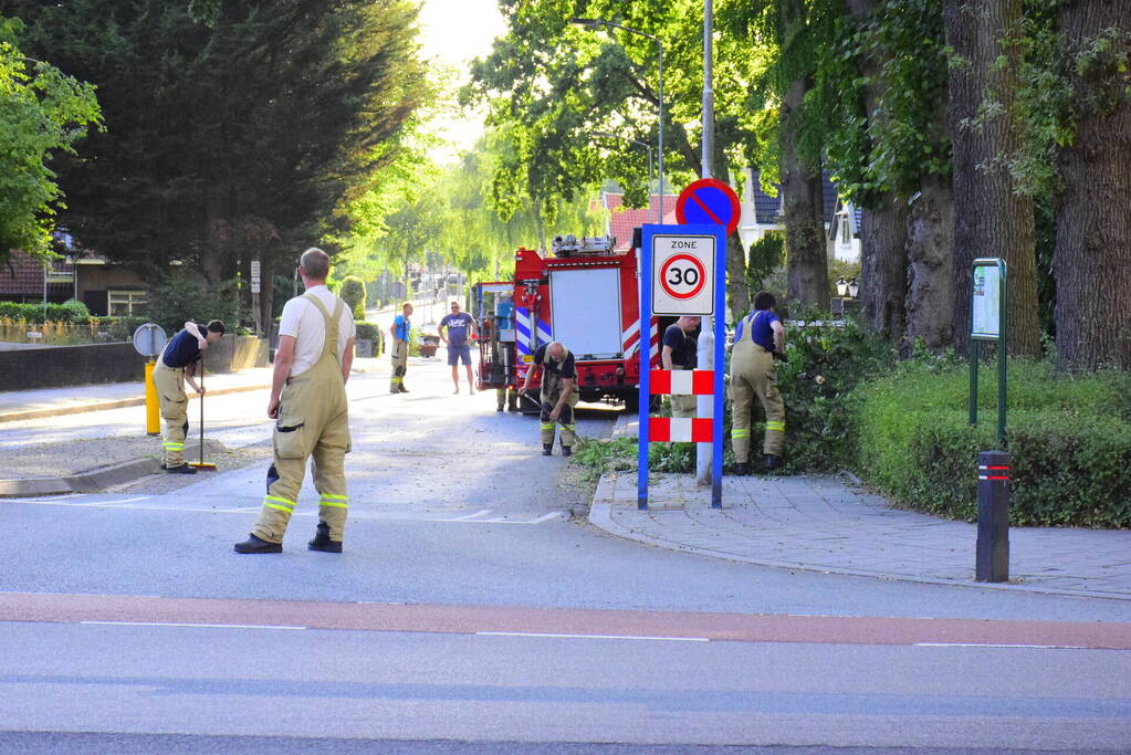 Grote tak breekt af en valt op weg