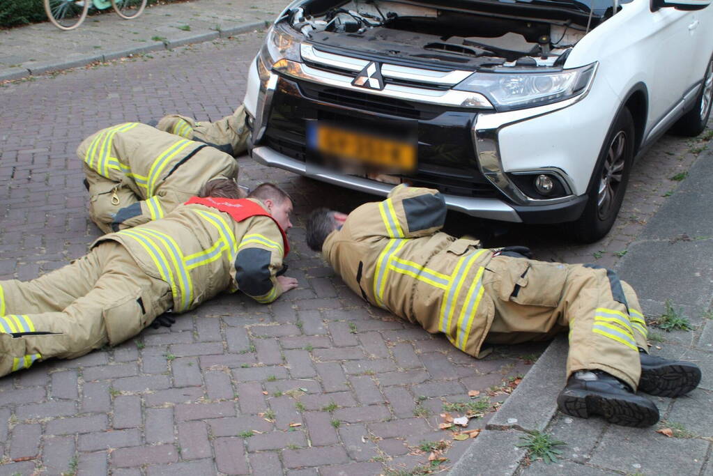 Kat vast in motorcompartiment van auto