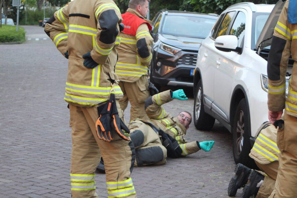 Kat vast in motorcompartiment van auto