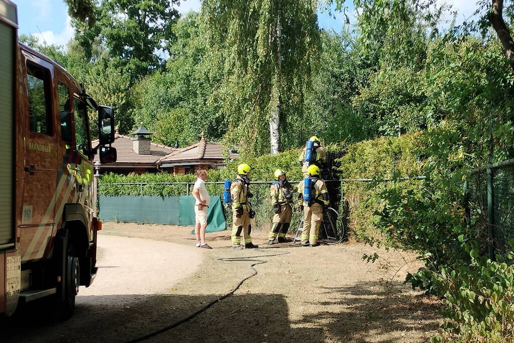 Brandende conifeer snel geblust