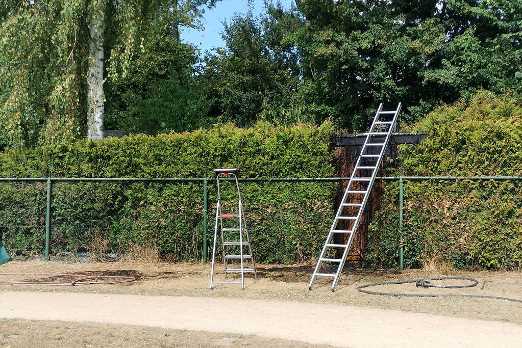 Brandende conifeer snel geblust