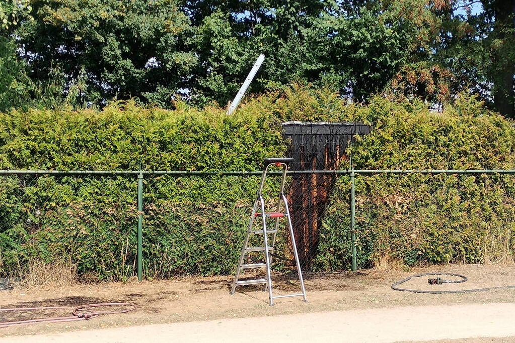 Brandende conifeer snel geblust