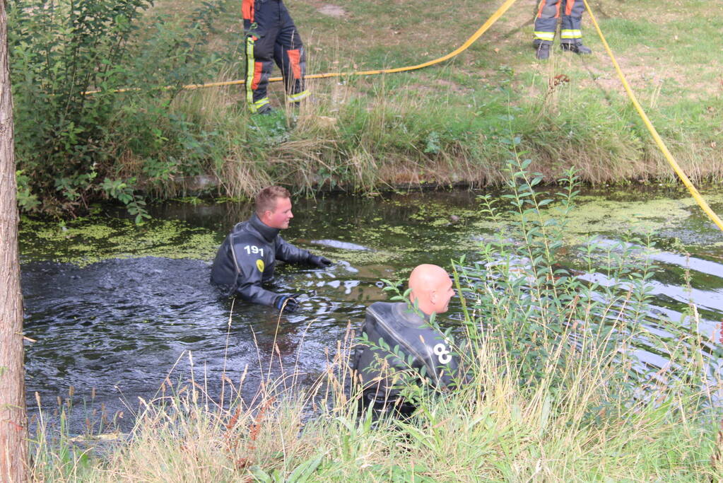 Gewonde zwaan laat zich lastig vangen