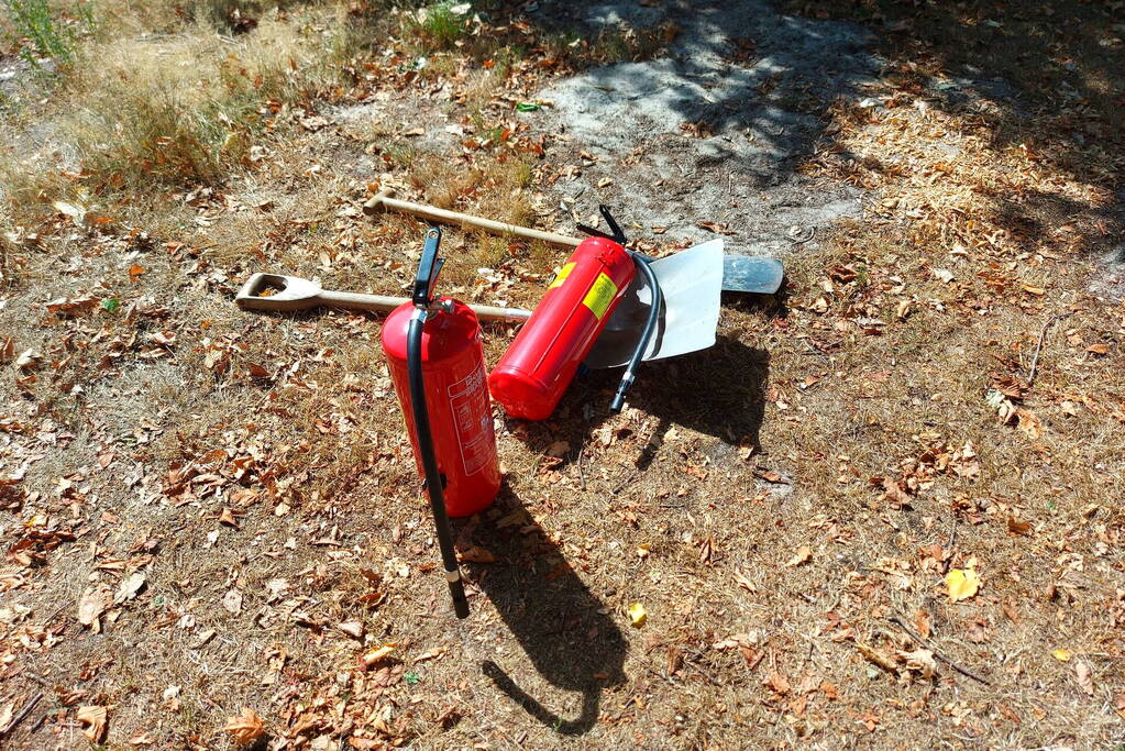 Stuk bosschage verwoest vanwege brand