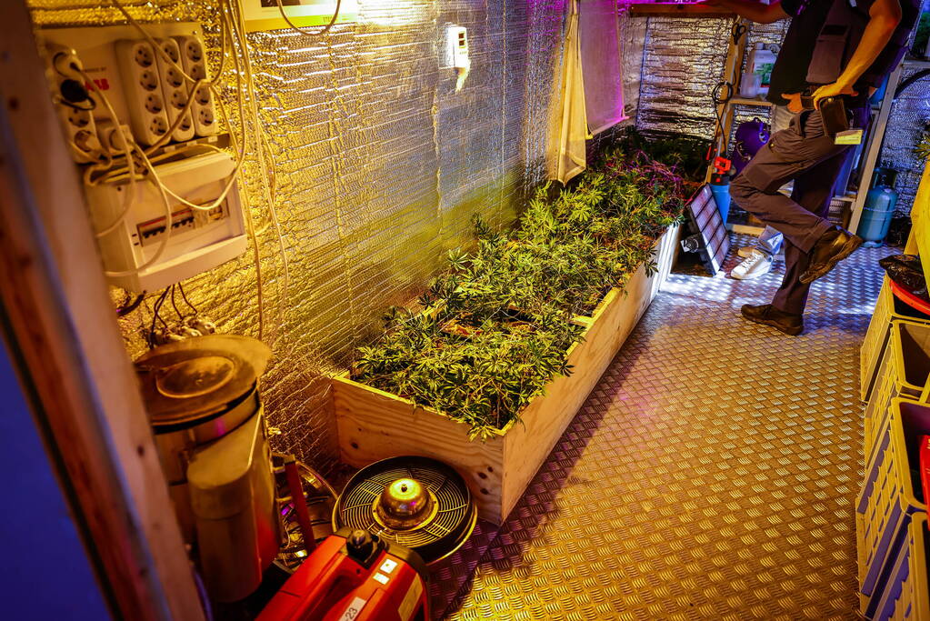 Hennepkwekerij nagebootst in container