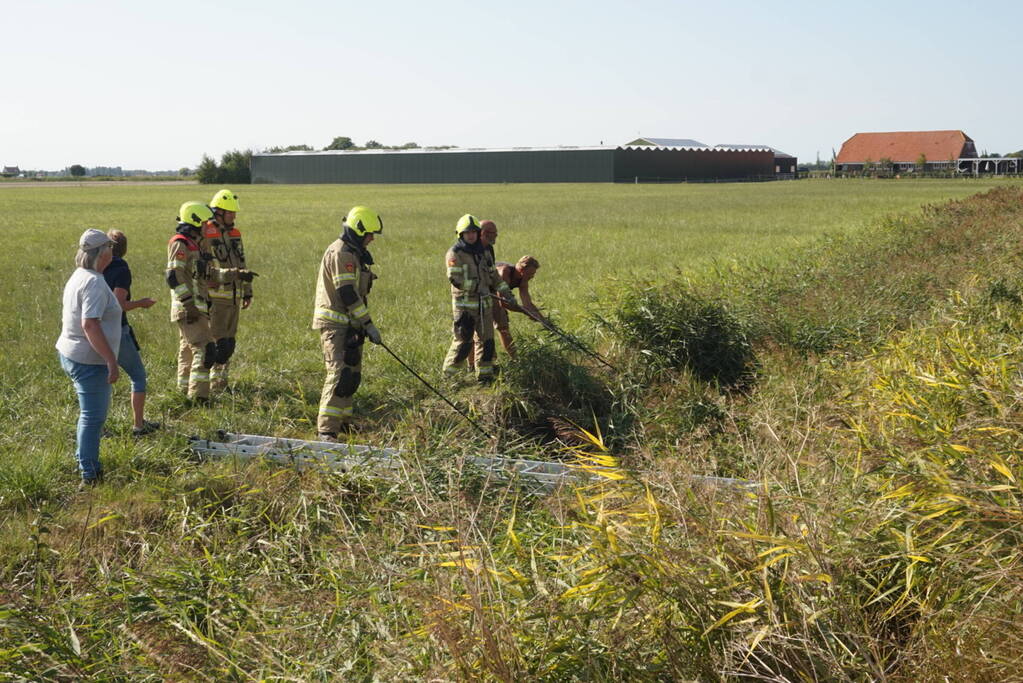 Meerdere voertuigen betrokken bij botsing
