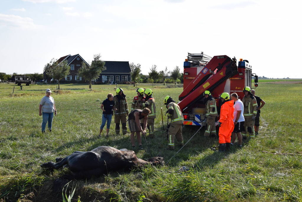 Meerdere voertuigen betrokken bij botsing