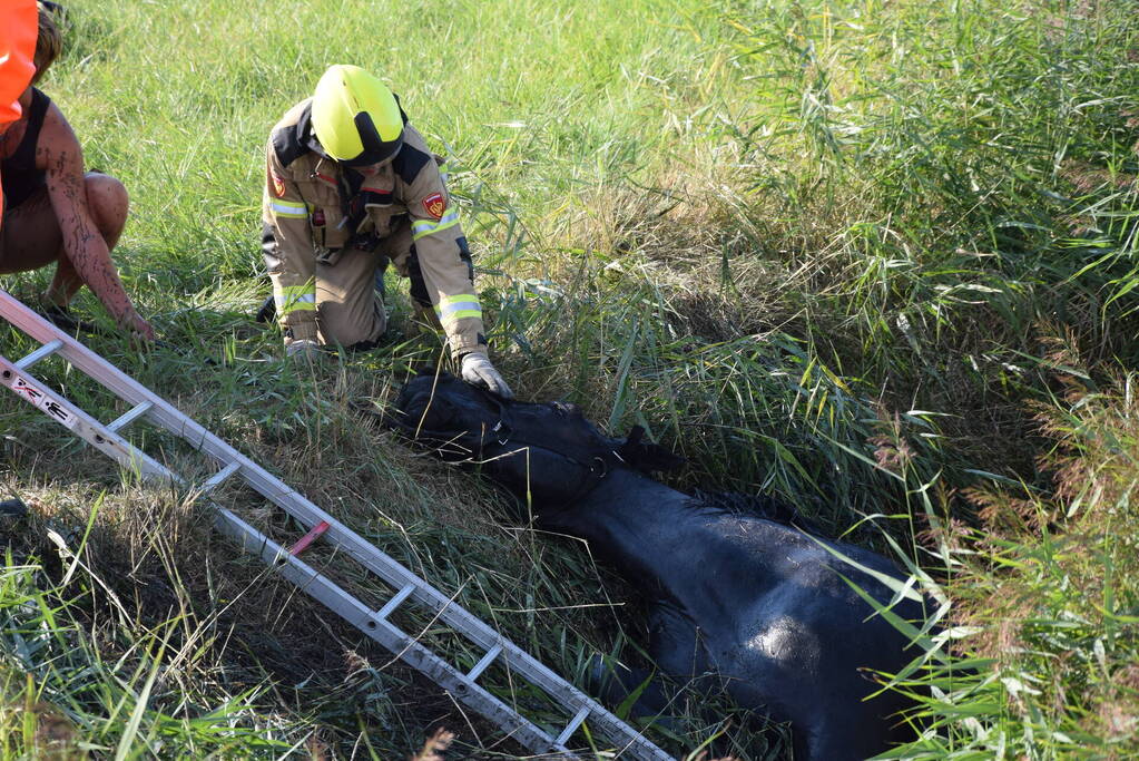 Meerdere voertuigen betrokken bij botsing