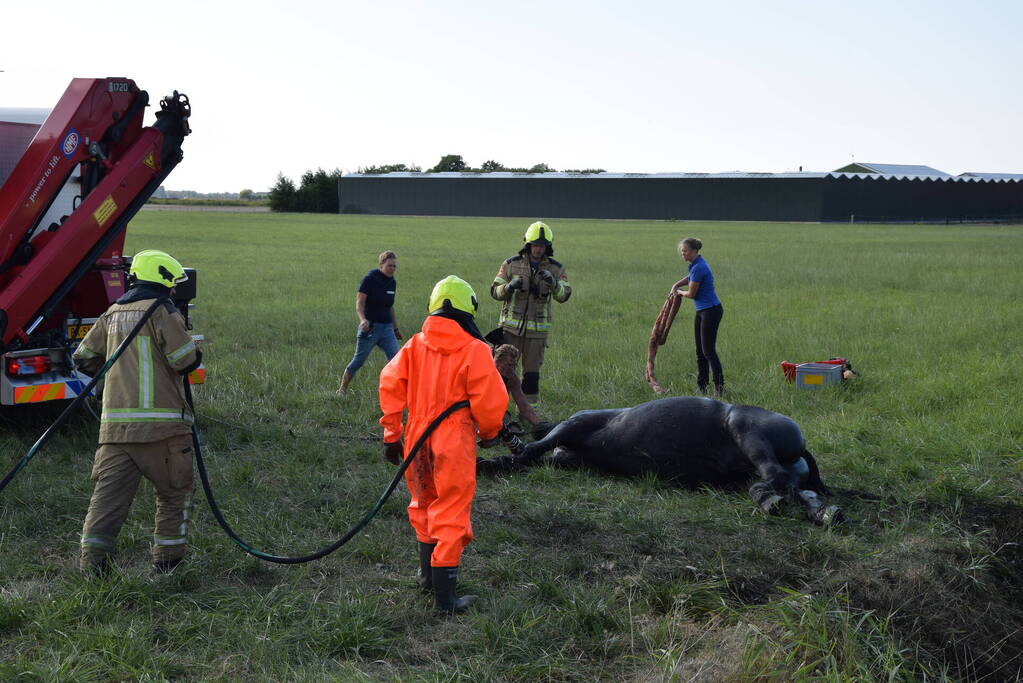 Meerdere voertuigen betrokken bij botsing